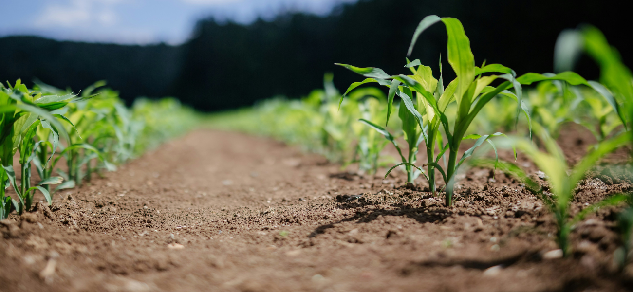 expertise agrobiologie