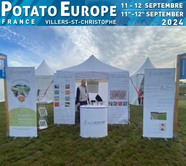 stand potatoes europe