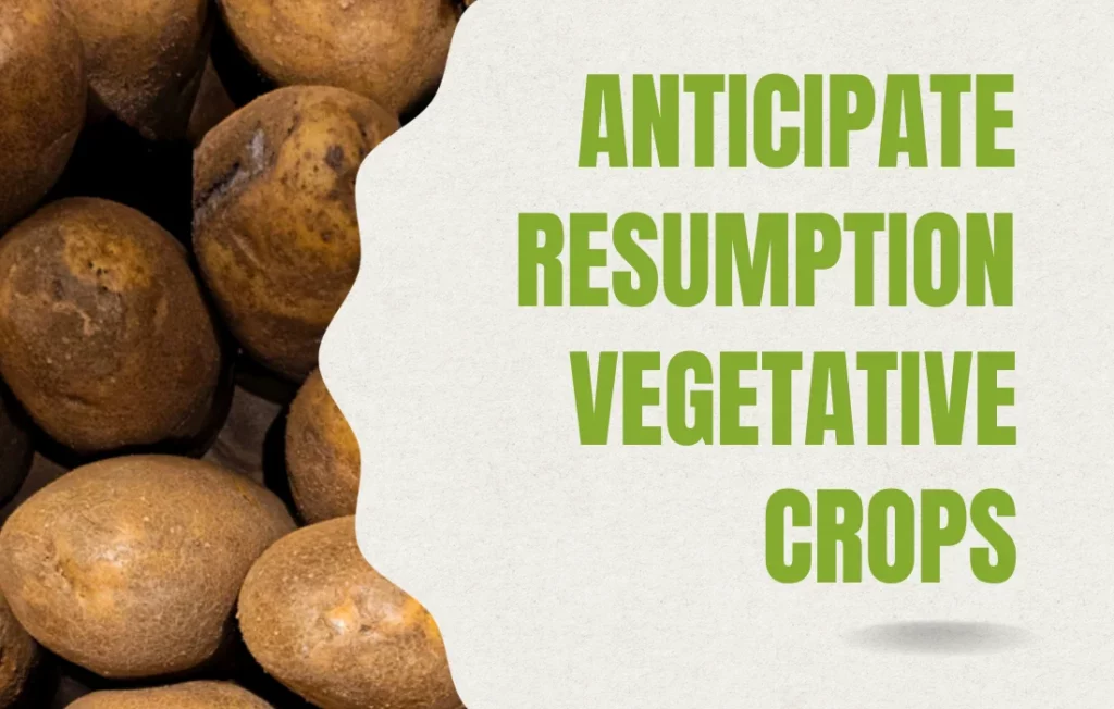 resumption vegetative crops