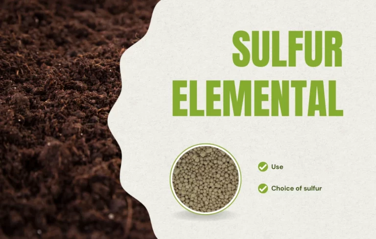 elemental sulfur agriculture